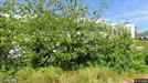 Lager til leje, Birkerød, &lt;span class=&quot;blurred street&quot; onclick=&quot;ProcessAdRequest(254802)&quot;&gt;&lt;span class=&quot;hint&quot;&gt;Se vej-navn&lt;/span&gt;[xxxxxxxxxx]&lt;/span&gt;