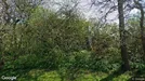 Lager til leje, Roskilde, &lt;span class=&quot;blurred street&quot; onclick=&quot;ProcessAdRequest(262057)&quot;&gt;&lt;span class=&quot;hint&quot;&gt;Se vej-navn&lt;/span&gt;[xxxxxxxxxx]&lt;/span&gt;