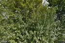 Lager til leje, Hillerød, &lt;span class=&quot;blurred street&quot; onclick=&quot;ProcessAdRequest(264877)&quot;&gt;&lt;span class=&quot;hint&quot;&gt;Se vej-navn&lt;/span&gt;[xxxxxxxxxx]&lt;/span&gt;