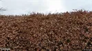 Lager til leje, Holbæk, Mårsø Huse<span class="blurred street-number" onclick="ProcessAdRequest(274264)"><span class="hint">Se vejnr.</span>[xxxxxxxx]</span>