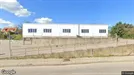 Lager til leje, Nykøbing Sjælland, Algade<span class="blurred street-number" onclick="ProcessAdRequest(301710)"><span class="hint">Se vejnr.</span>[xxxxxxxx]</span>