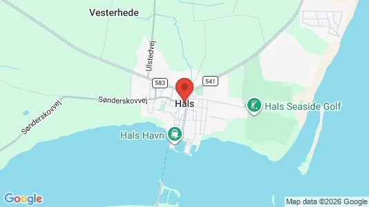 Erhvervslokaler til leje i Hals - kort over placeringen