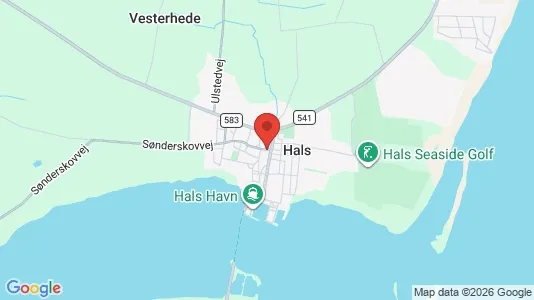 Erhvervslokaler til leje i Hals - kort over placeringen