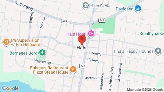 Erhvervslokaler til leje i Hals - Foto fra Google Street View