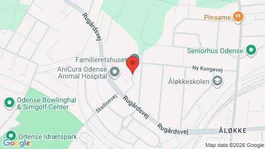 Erhvervslokaler til leje i Odense C - kort over placeringen