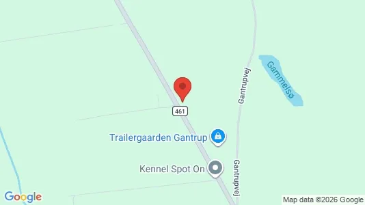 Erhvervslokaler til leje i Østbirk - kort over placeringen